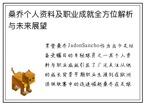 桑乔个人资料及职业成就全方位解析与未来展望
