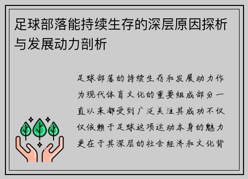 足球部落能持续生存的深层原因探析与发展动力剖析
